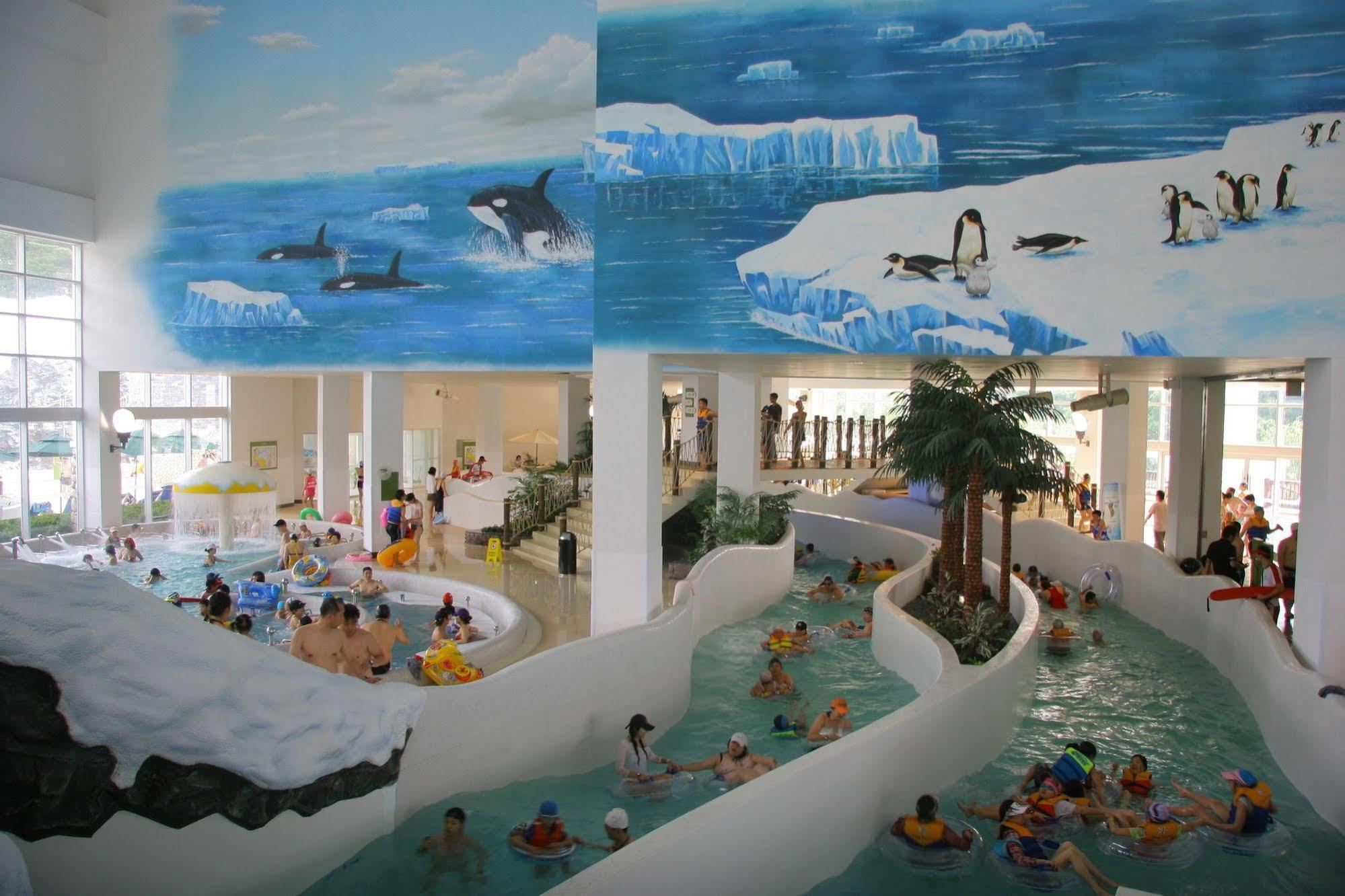 Yongpyong Resort Villa Condominium Pyeongchang Exteriör bild
